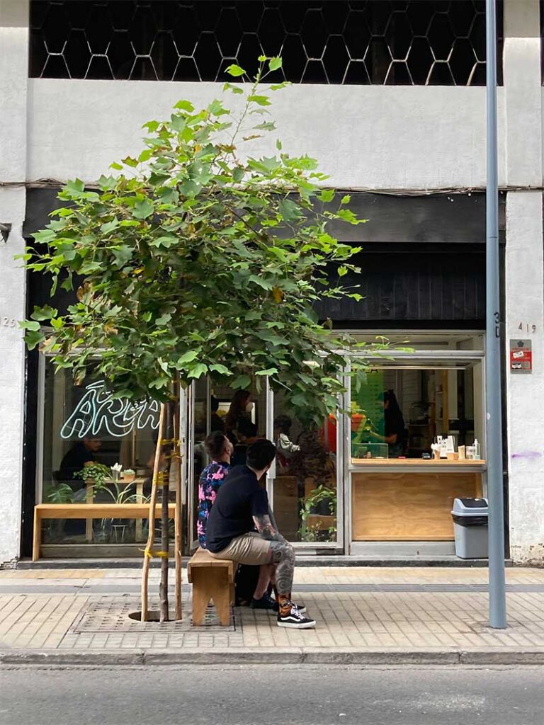 area cafe frontis