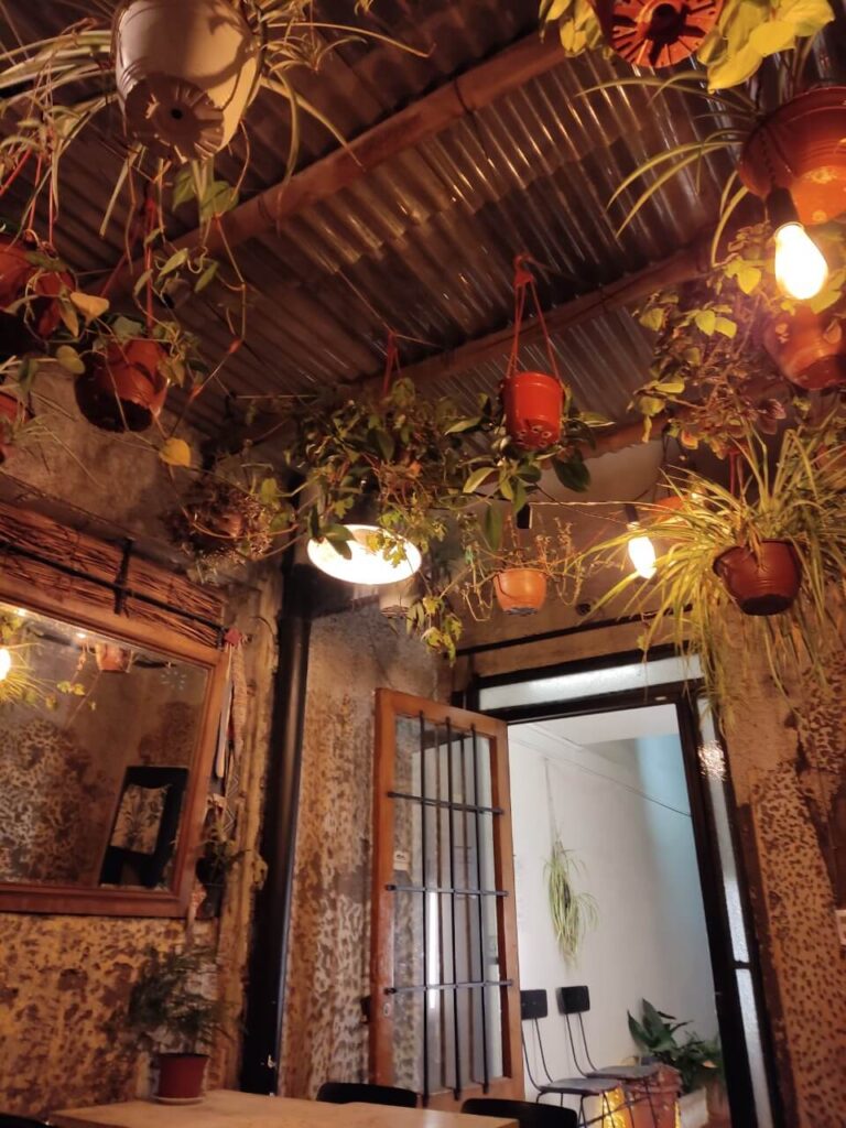 Domestico interior plantas